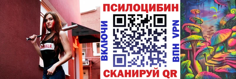 Купить  Магадан  Псилоцибиновые грибы MAGIC MUSHROOMS 
